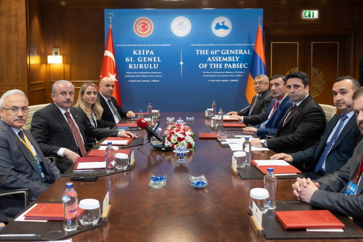 Speakers of Turkish and Armenian Parliaments meet