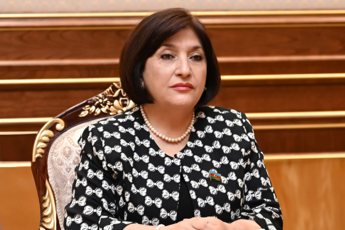 Main goal of Armenia's provocation is to hinder peace negotiations: Speaker