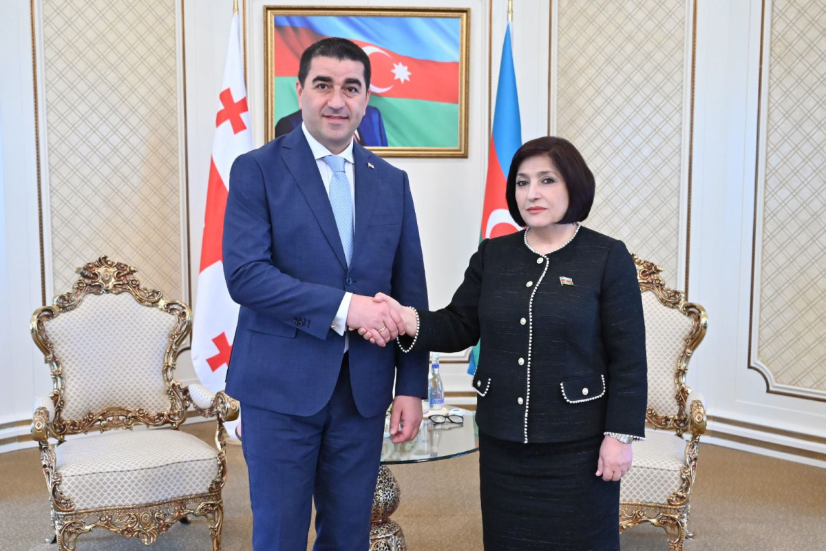 Speaker of Azerbaijani Parliament meets with her Georgian counterpart