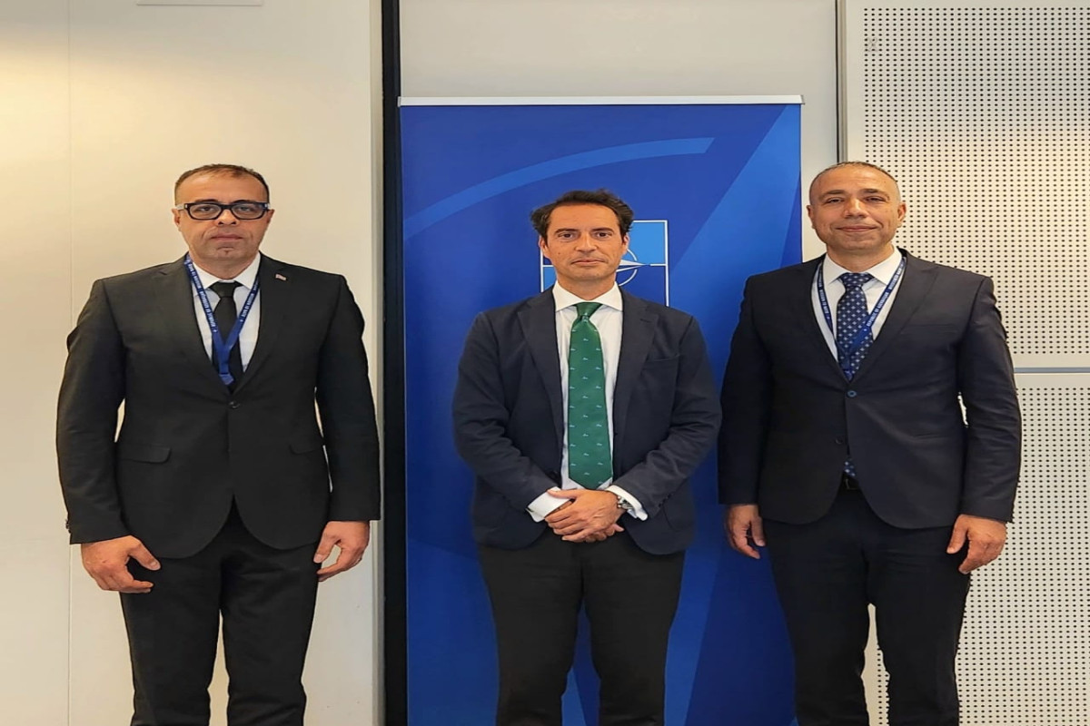 Azerbaijan's role in the energy security of NATO allies was discussed with Stoltenberg's special representative