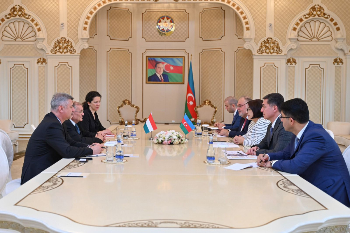 Chair of Azerbaijani Parliament meets with Members of Italy-Azerbaijan Inter-Parliamentary Friendship Group