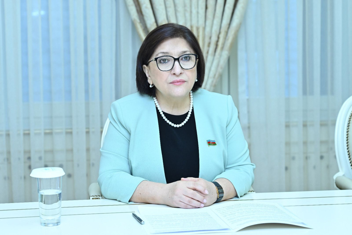 Speaker of Azerbaijani Parliament met with Deputy Head of Croatian Parliament