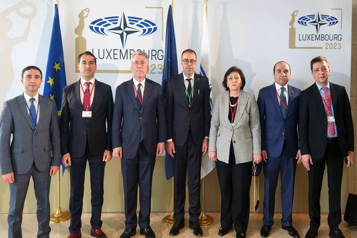Azerbaijani delegation participated in the spring session of the NATO PA