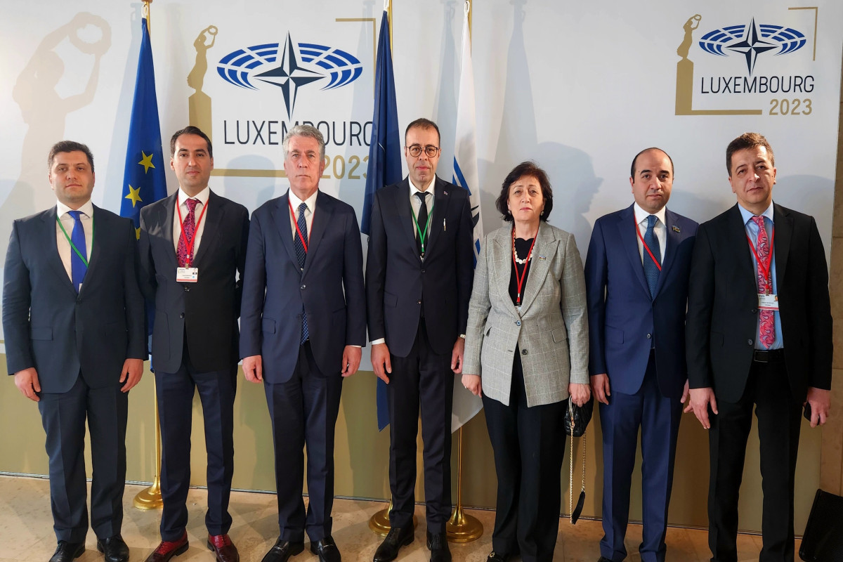 Azerbaijani delegation participated in the spring session of the NATO PA