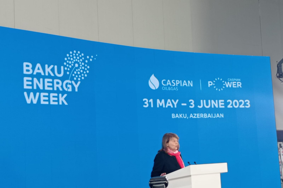 UK Prime Minister's Trade Envoy to Azerbaijan Baroness Emma Nicholson