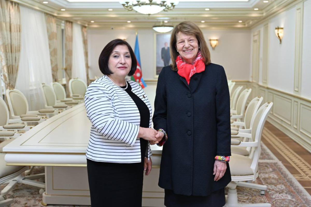 Speaker of Azerbaijani Parliament meets with UK Prime Minister’s Trade Envoy to Azerbaijan