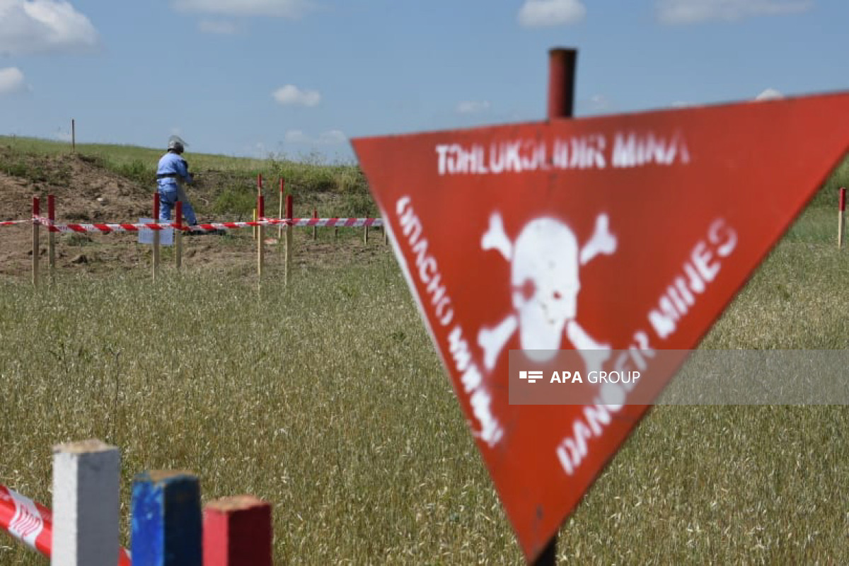 ANAMA found nearly 1,700 landmines in Azerbaijan
