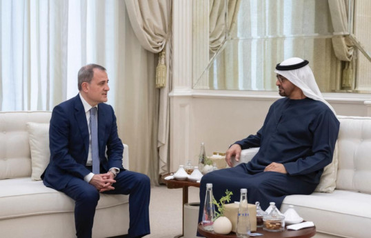 Azerbaijani FM meets with the President of the UAE