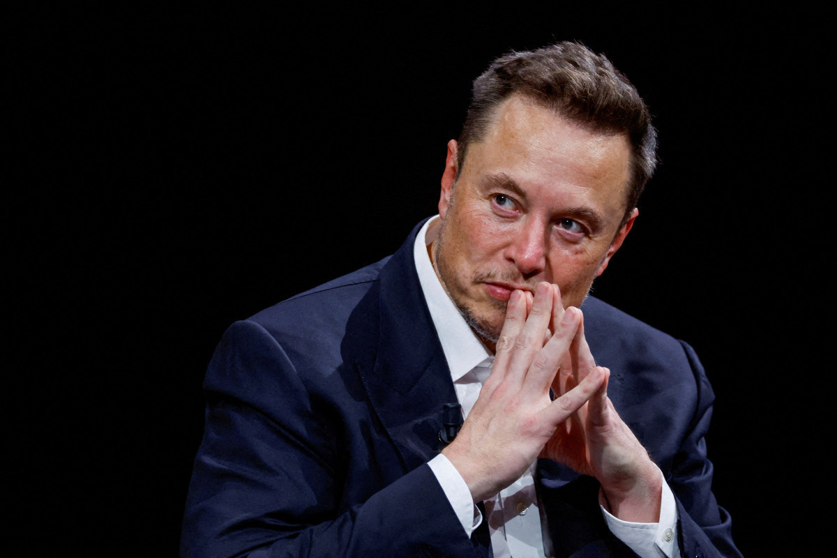 Elon Musk, billionaire and Tesla CEO