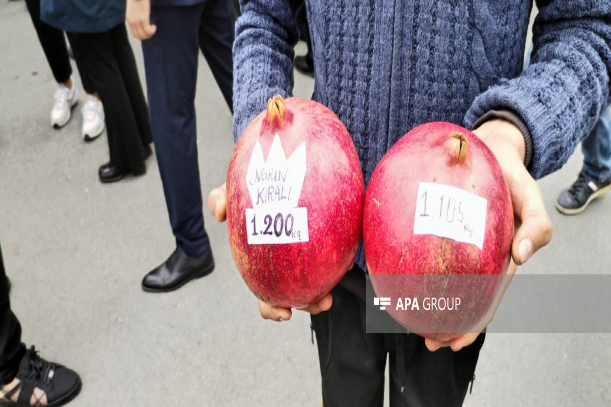 15th Pomegranate Festival kicks off in Azerbaijan's Goychay-PHOTO 
