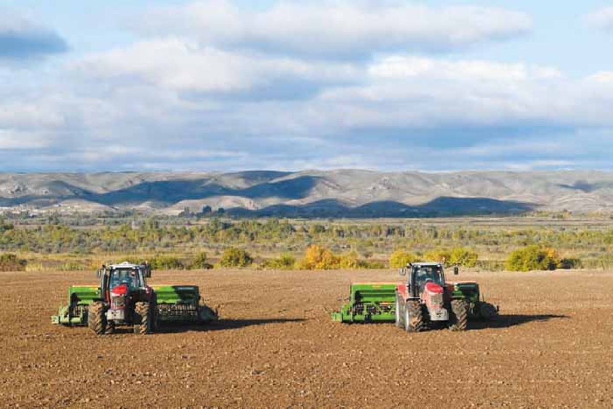 Partnership with Morocco to establish farms in Azerbaijan