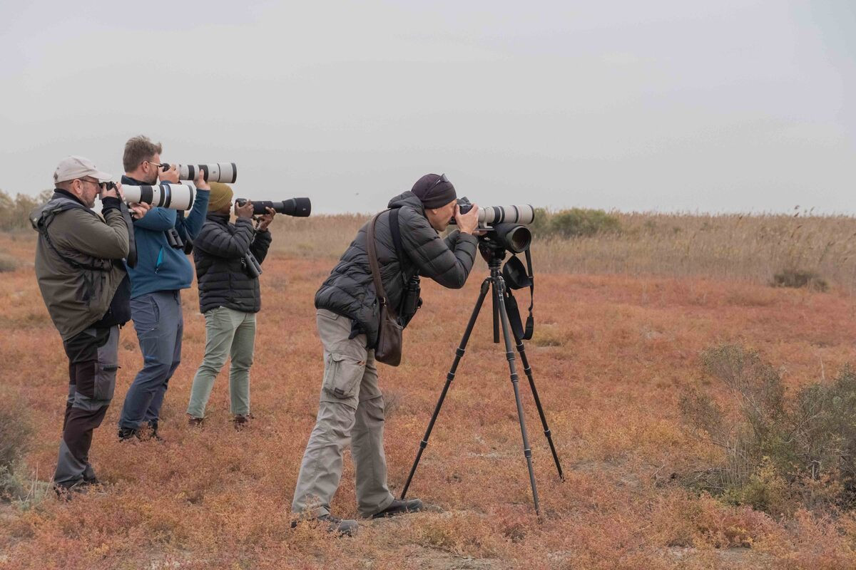 Foreign tour operators got acquainted with the ornithological tourism opportunities of Azerbaijan