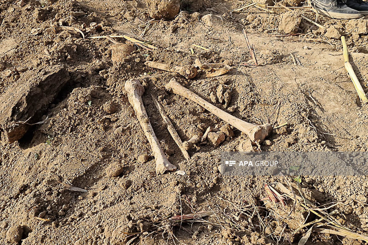 Ancient graves were discovered in agricultural field in Azerbaijan