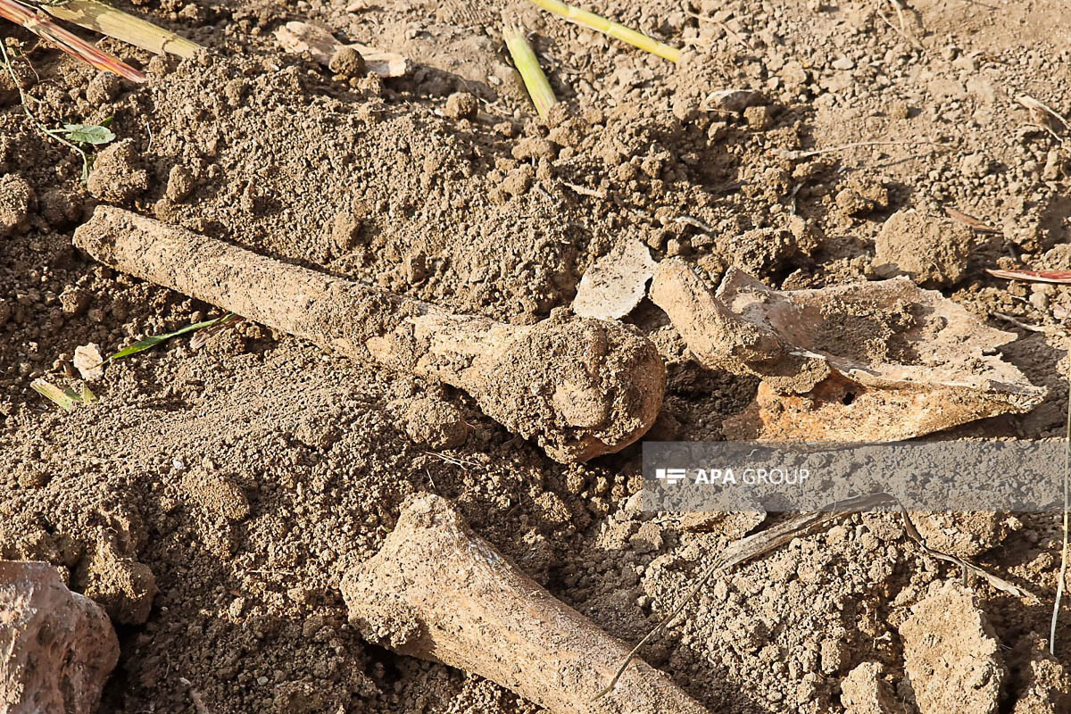 Ancient graves were discovered in agricultural field in Azerbaijan's Aghdam district -PHOTO -UPDATED 