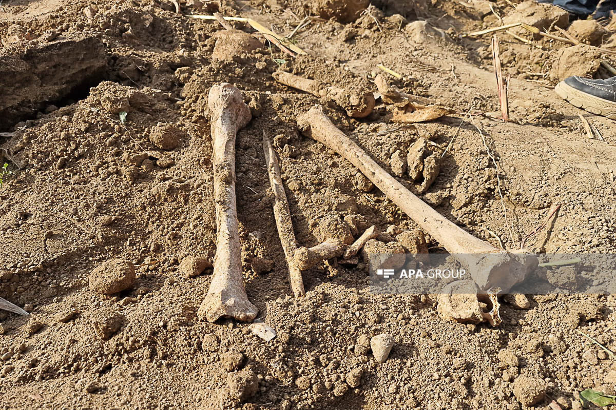 Ancient graves were discovered in agricultural field in Azerbaijan's Aghdam district -PHOTO -UPDATED 