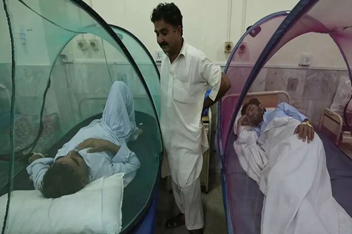 Bangladesh dengue death toll surges past 1,500