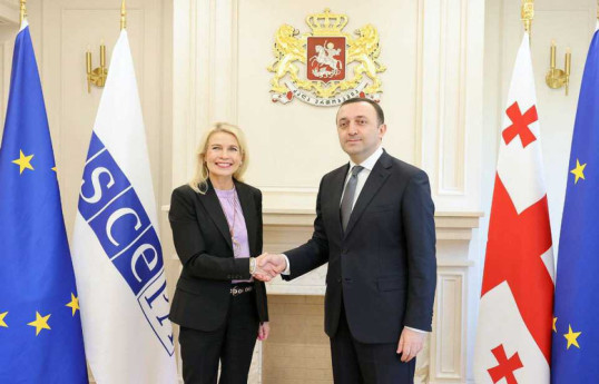 Pia Kauma, the President of the Parliamentary Assembly of the Organisation for Security and Cooperation in Europe and Irakli Garibashvili, Prime Minister of Georgia