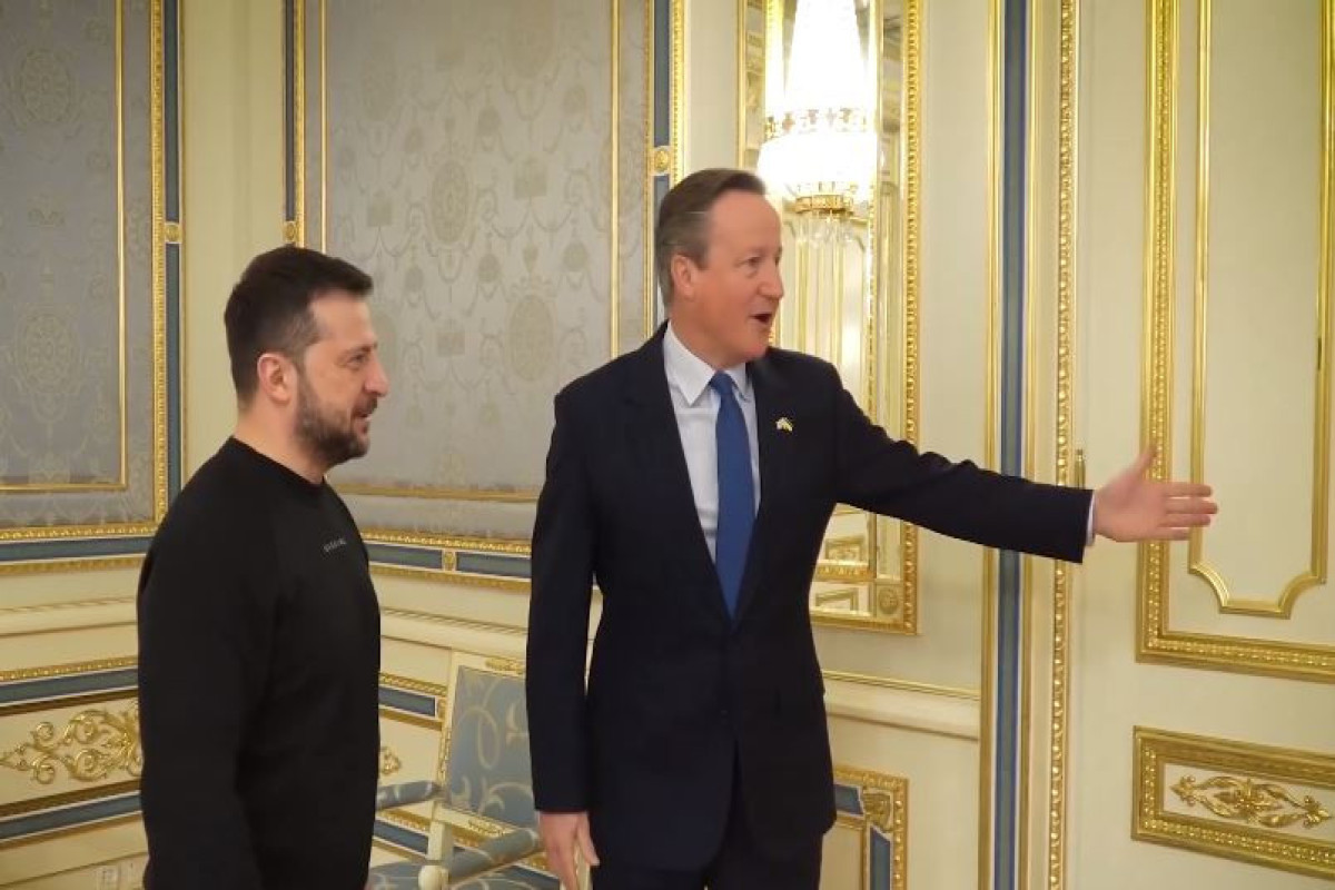 Volodymyr Zelenskyy - President of Ukraine and David Cameron - Foreign Minister of Great Britain