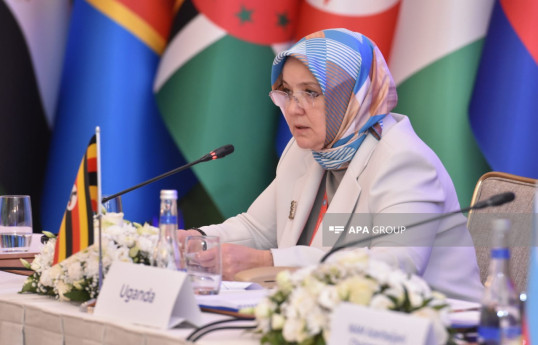 Leman Yenigun, Deputy Minister of Family and Social Services of Türkiye
