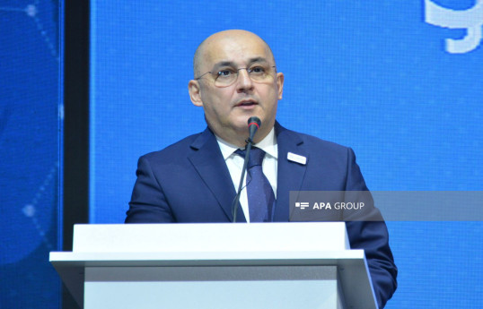 Shahin Bagirov, the Chairman of the State Customs Committee of Azerbaijan