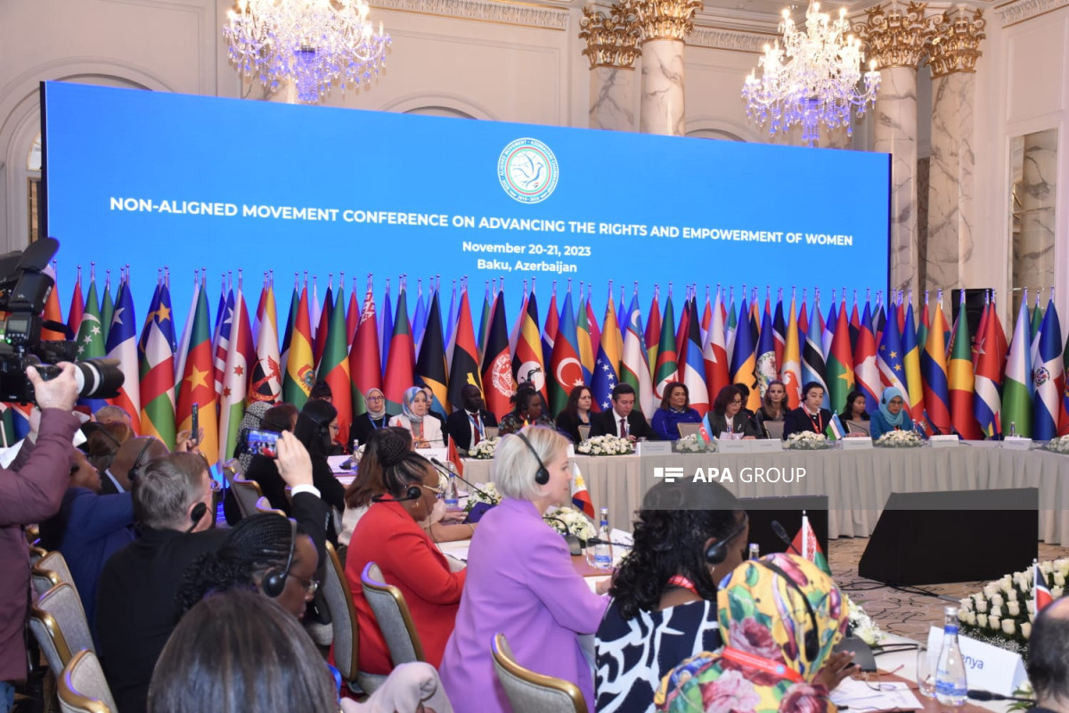 NAM Women Platform to be established - Vimarsana News