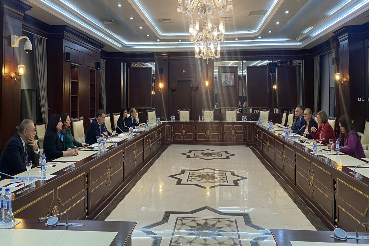 Milli Majlis hosts a meeting with the co-rapporteur of the PACE Monitoring Committee on Azerbaijan
