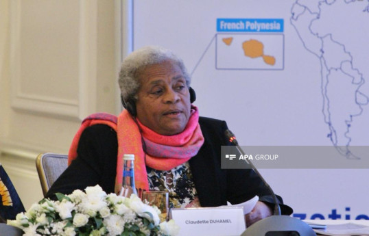Claudette Duhamel, Movement of Democrats and Environmentalists for Sovereign Martinique representative