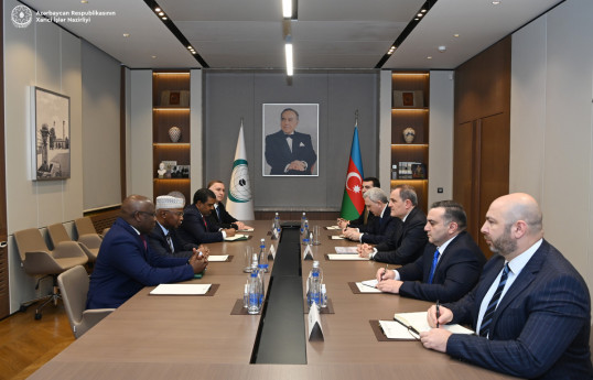 Azerbaijani Top Diplomat meets with OIC Secretary-General