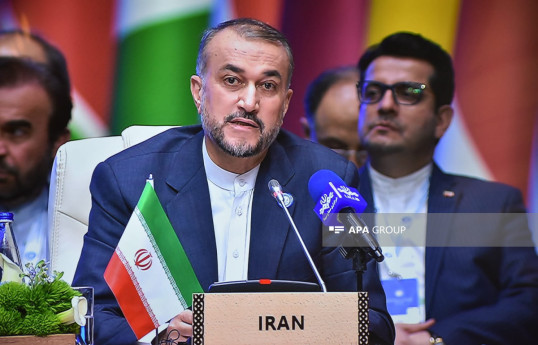 Iranian FM urged int'l community to disarm Israel of nuclear weapons