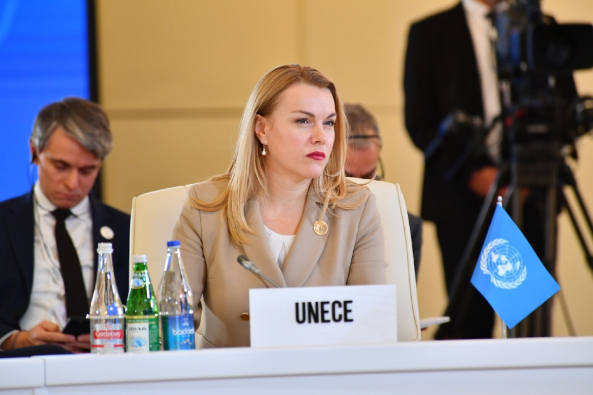 Tatiana Molcean, Executive Secretary of the United Nations Economic Commission for Europe (UNECE)