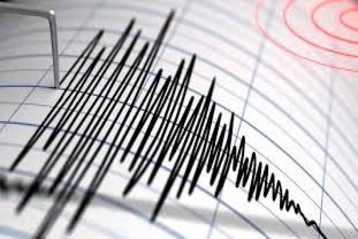5.0-magnitude quake hits Peru-Ecuador Border Region