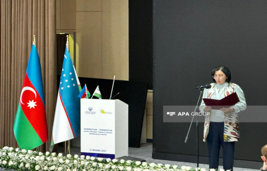 Uzbek, Azerbaijani NGO representatives appealed to heads of state of both countries