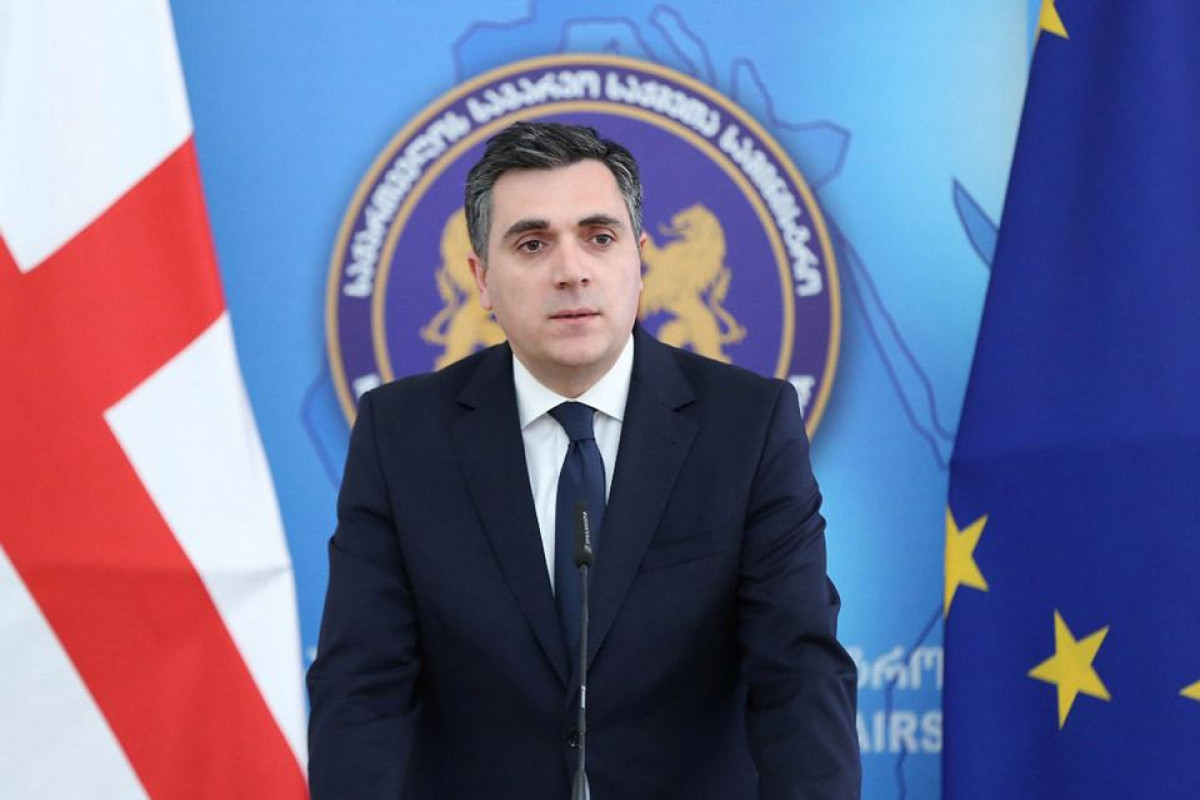 Georgian Foreign Minister, Ilya Darchiashvili