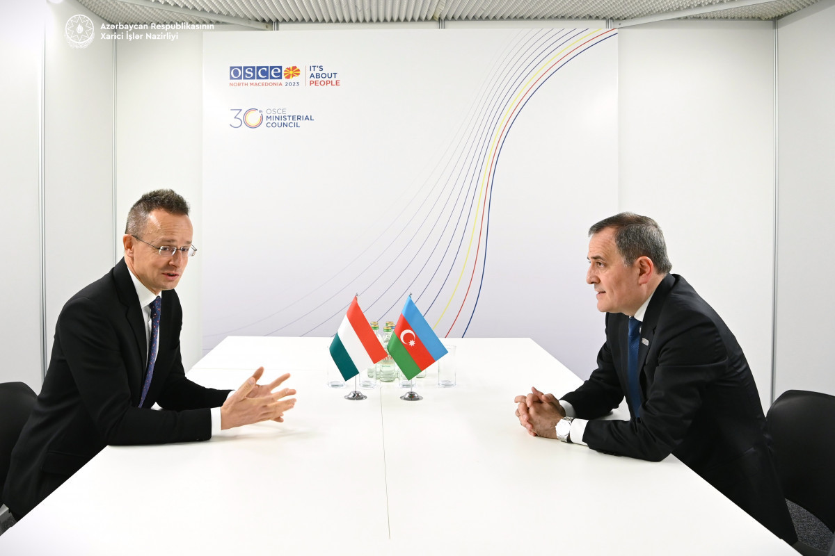Azerbaijani FM met with his Hungarian counterpart