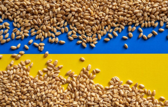 Ukraine expects 12 more cargo ships at its Black Sea ports