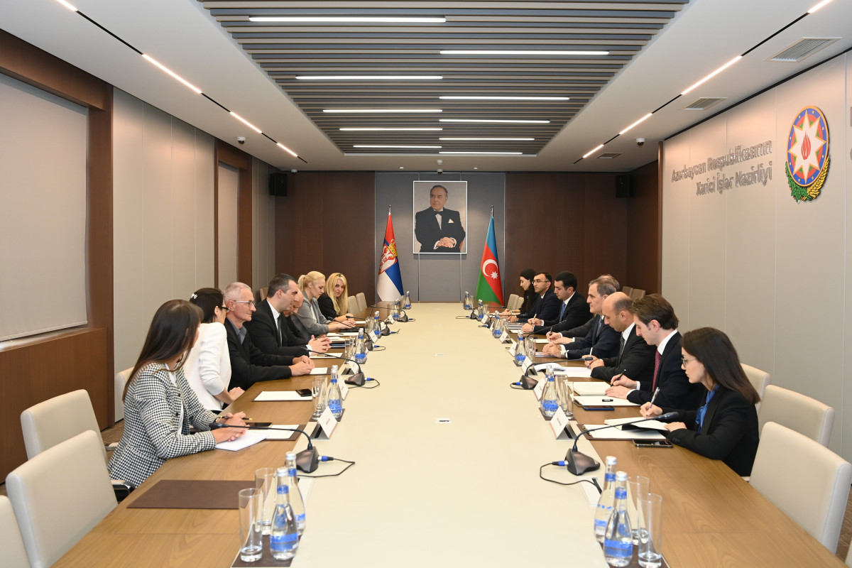 Azerbaijani FM met with Serbian National Assembly Speaker
