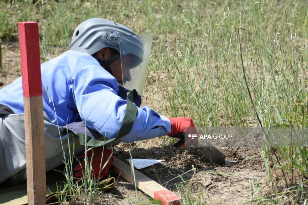 Azerbaijan detects 98 more landmines in liberated territories over last week