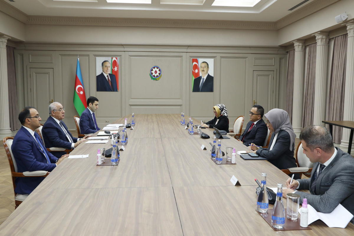 Azerbaijani Prime Minister meets with Indonesian Minister of Administrative and Bureaucratic Reform