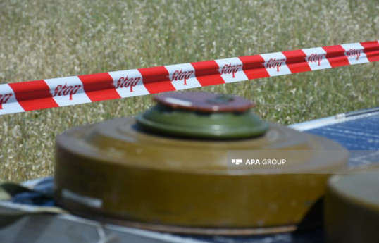 Azerbaijani Ombudsperson releases statement regarding landmine incident in Fuzuli