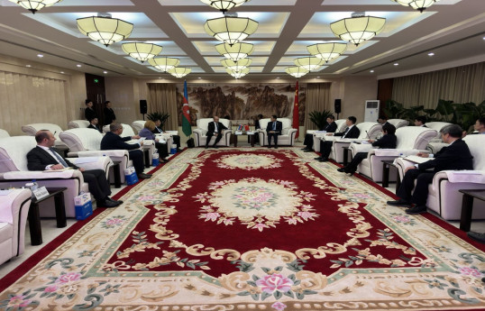 Azerbaijan and China mull collaborating on green energy projects