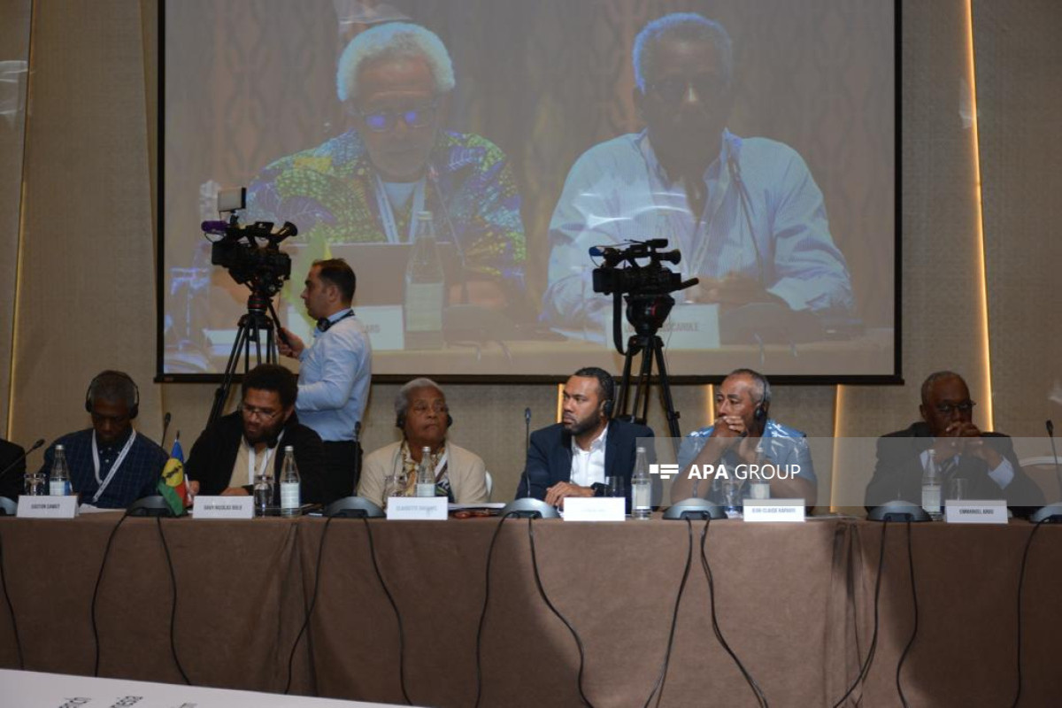 Baku hosts Initiative Group Conference against French colonialism today-VIDEO 