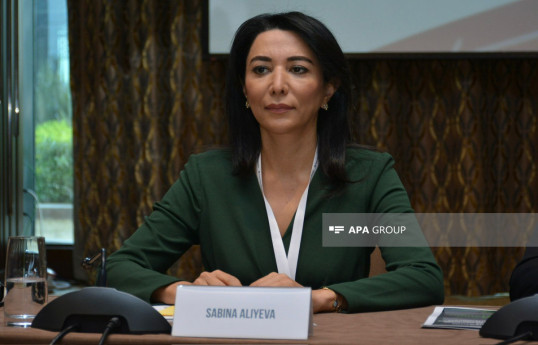 Sabina Aliyeva, Ombudsperson of Azerbaijan