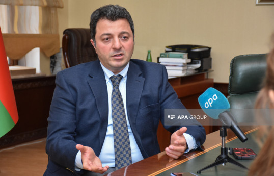 Tural Ganjaliyev, Azerbaijani MP