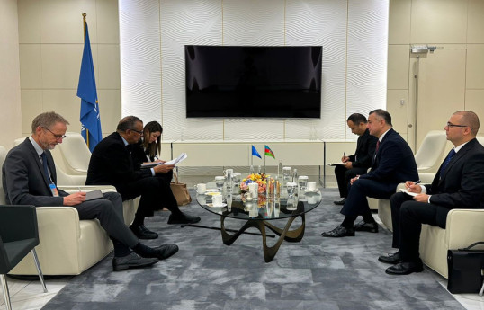 WHO Director-General thanked Azerbaijan