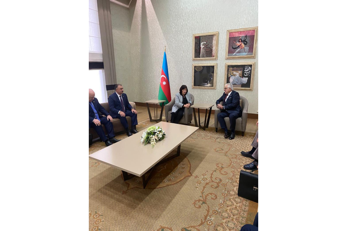 Azerbaijan’s Milli Majlis speaker visits Türkiye