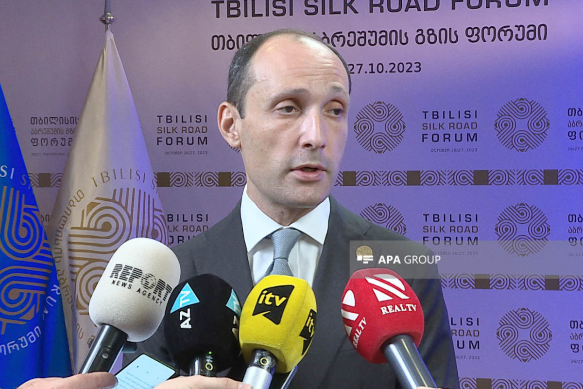  Levan Davitashvili,  Vice Prime Minister, Minister of Economy and Sustainable Development of Georgia
