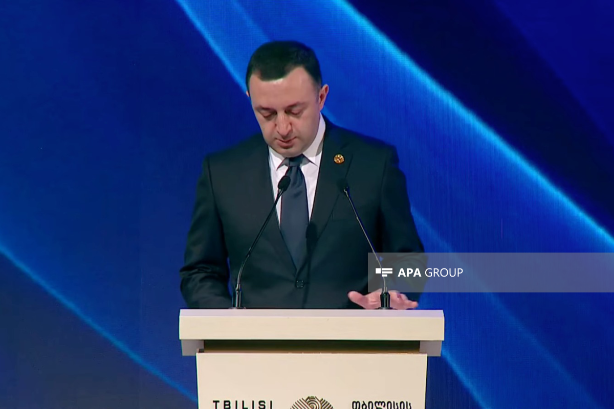 Irakli Garibashvili, Prime Minister of Georgia