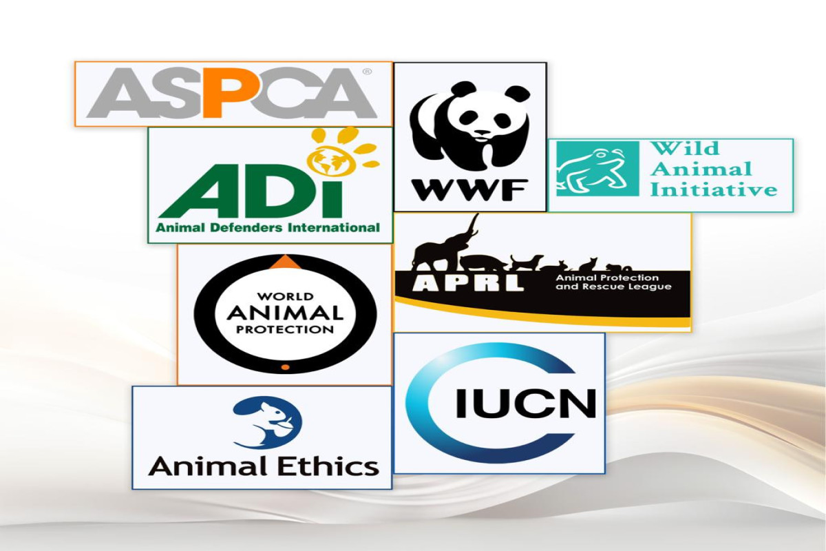 “Biological Diversity Center” Public Union appeals to global organizations over harms to wildlife caused by landmines