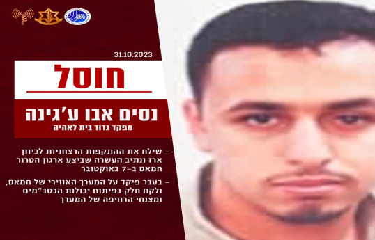 Hamas commander neutralised - IDF