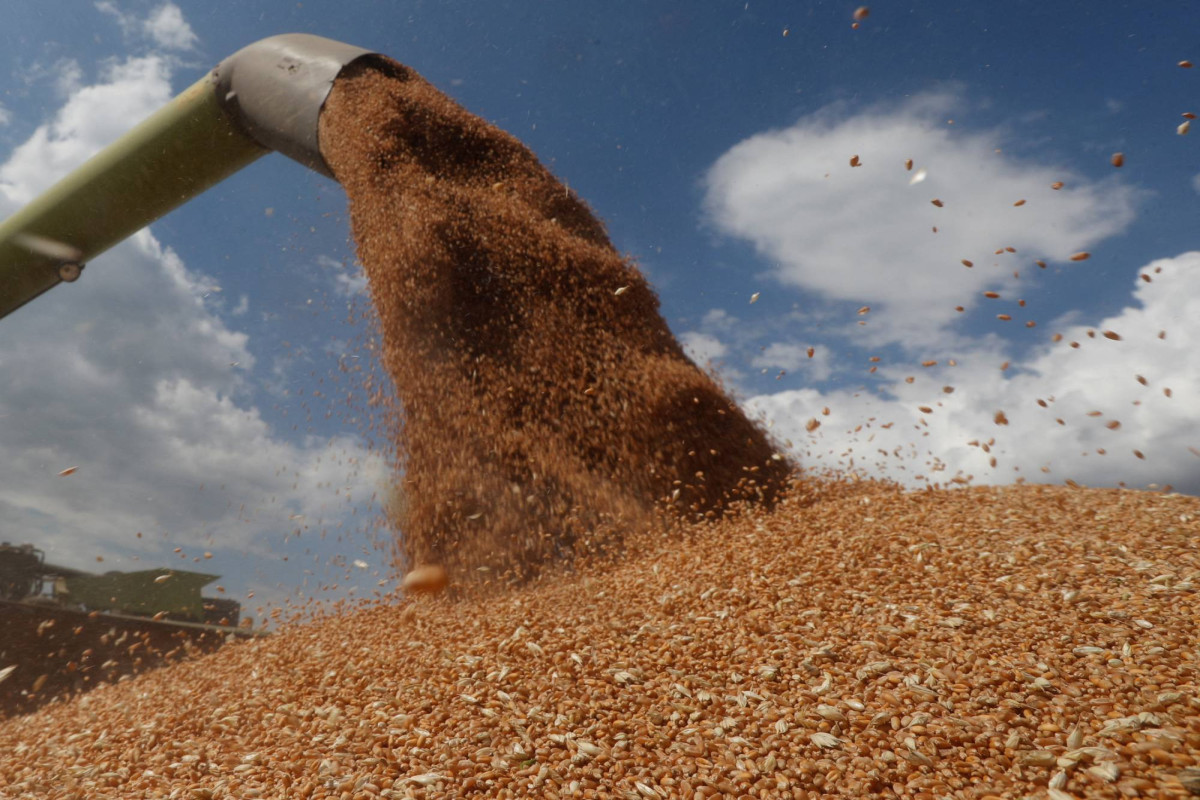 Moscow, Ankara and Doha grain supply project in high demand — Russian MFA